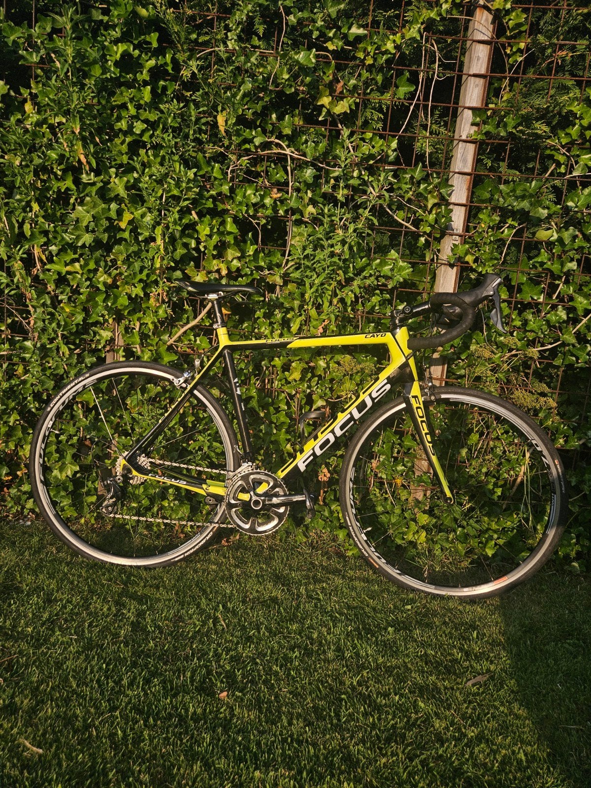 Focus Cayo - ultegra - dames / heren racefiets, 28 inch, Carbon, Zo goed als nieuw, Meer dan 20 versnellingen