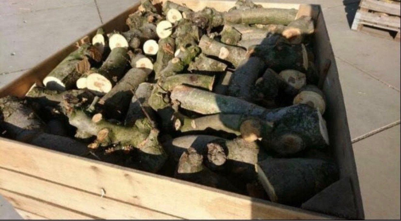 2 jaar gedroogd appelhout stammetjes, 0,8 kuub kachelklaar, Minder dan 3 m³, Ophalen, Overige houtsoorten, Stammen
