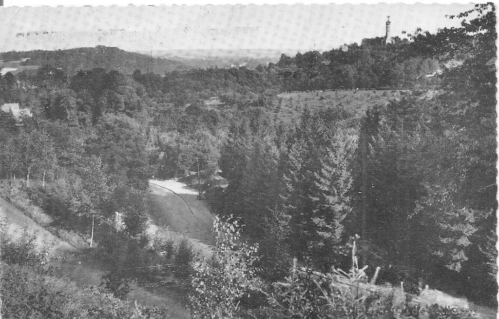 Valkenburg Vergezicht vanaf de Cauberg., Verzamelen, Ophalen of Verzenden, 1960 tot 1980, Gelopen, Limburg