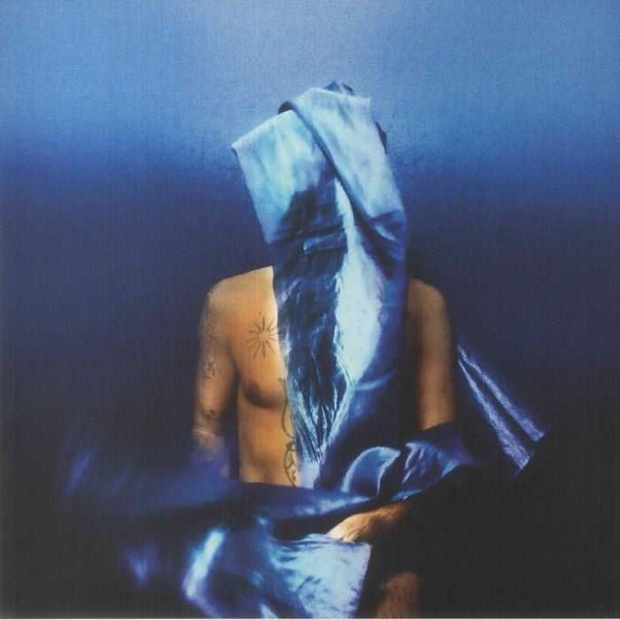 AANBIEDING - Devendra Banhart | Flying Wig LP, Ophalen of Verzenden, Nieuw in verpakking, 12 inch, Poprock