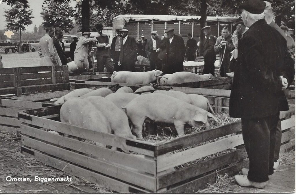 Ommen (Ov.) Biggenmarkt, veel Volk, gelopen 1964, Verzamelen, Ophalen of Verzenden, 1960 tot 1980, Gelopen, Overijssel