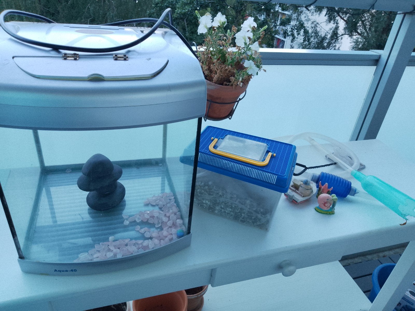 Aquarium 40 liter, Ophalen, Gebruikt, Leeg aquarium