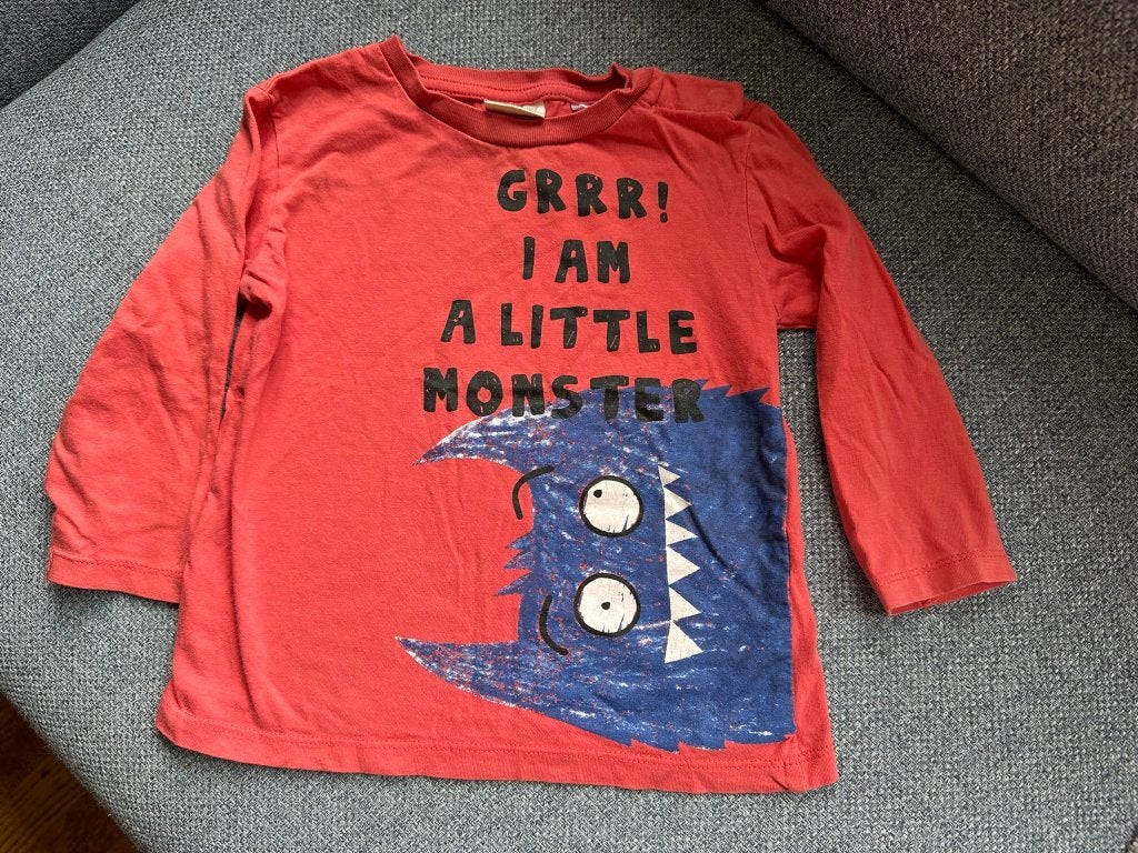 shirtje maat 86, Gebruikt, Ophalen of Verzenden, Zara, Jongetje