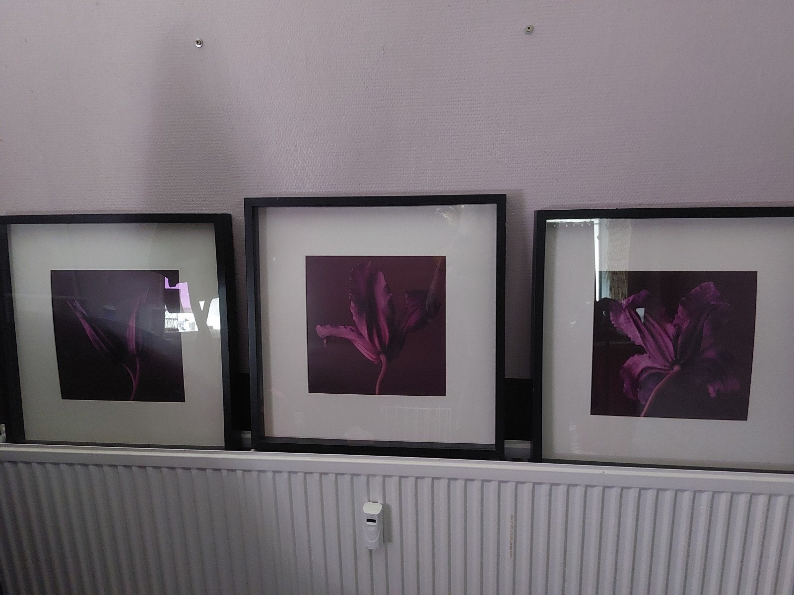 Te koop: set van 3 luik foto paarse bloem in 3 lijsten  Ikea, Ophalen of Verzenden