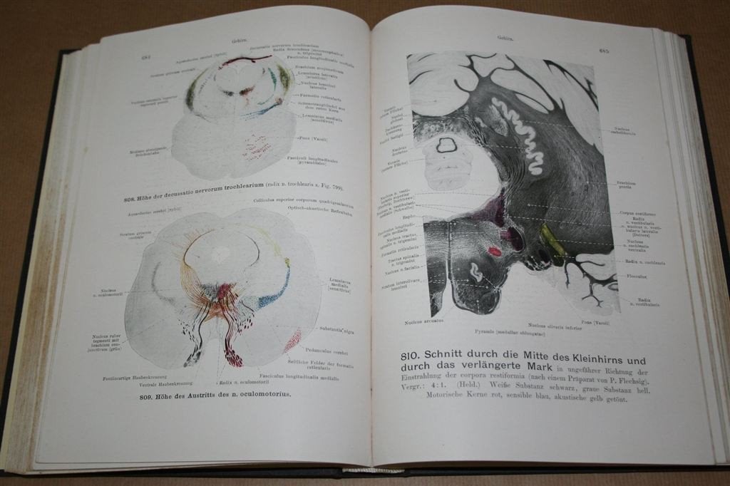 Handatlas Anatomie 3 — Oude uitg. 1920 — rijk geïllustreerd, Ophalen of Verzenden, Gelezen, Natuurwetenschap