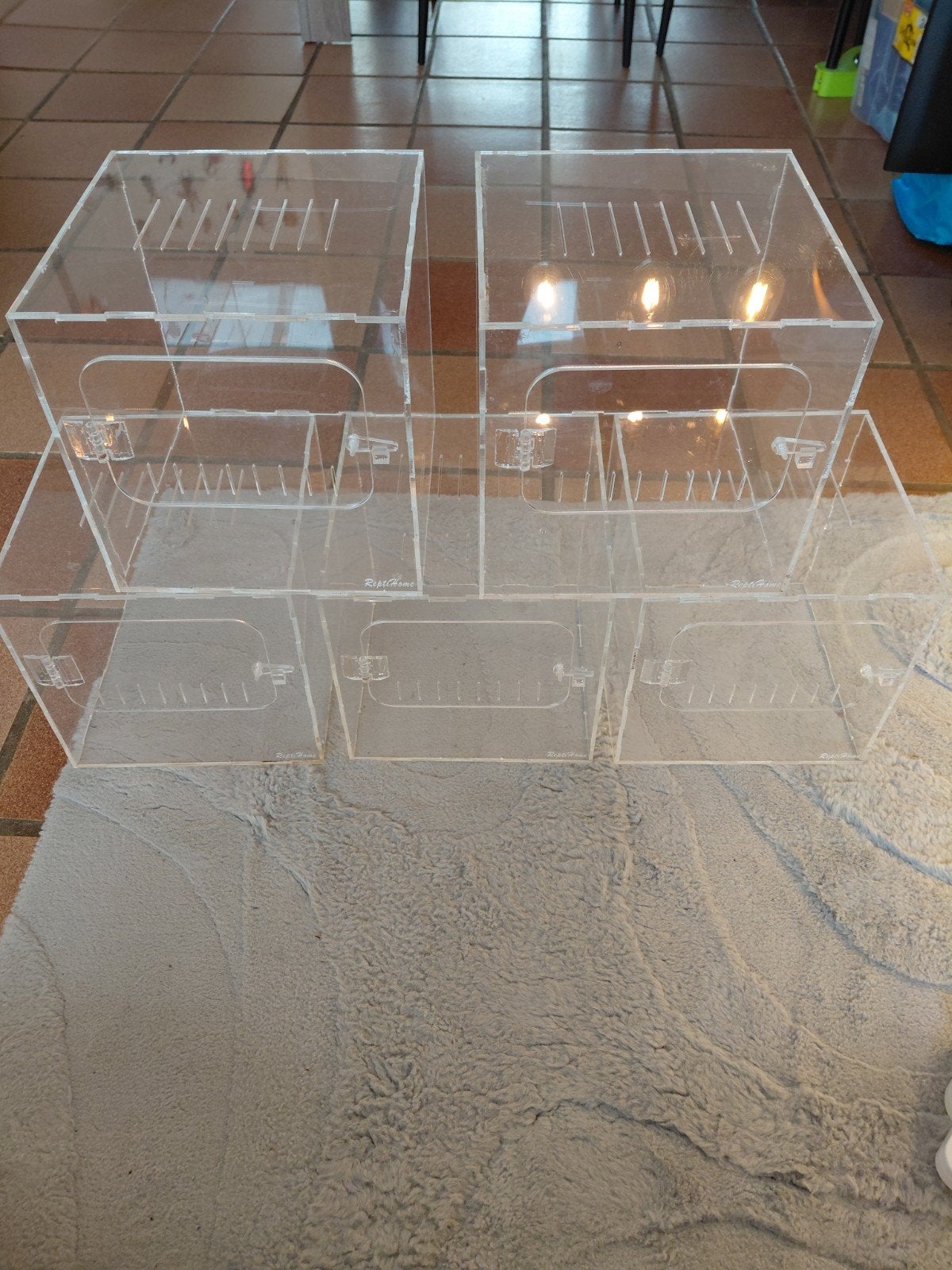 5 kunststof terrariums, Dieren en Toebehoren, Ophalen, Zo goed als nieuw