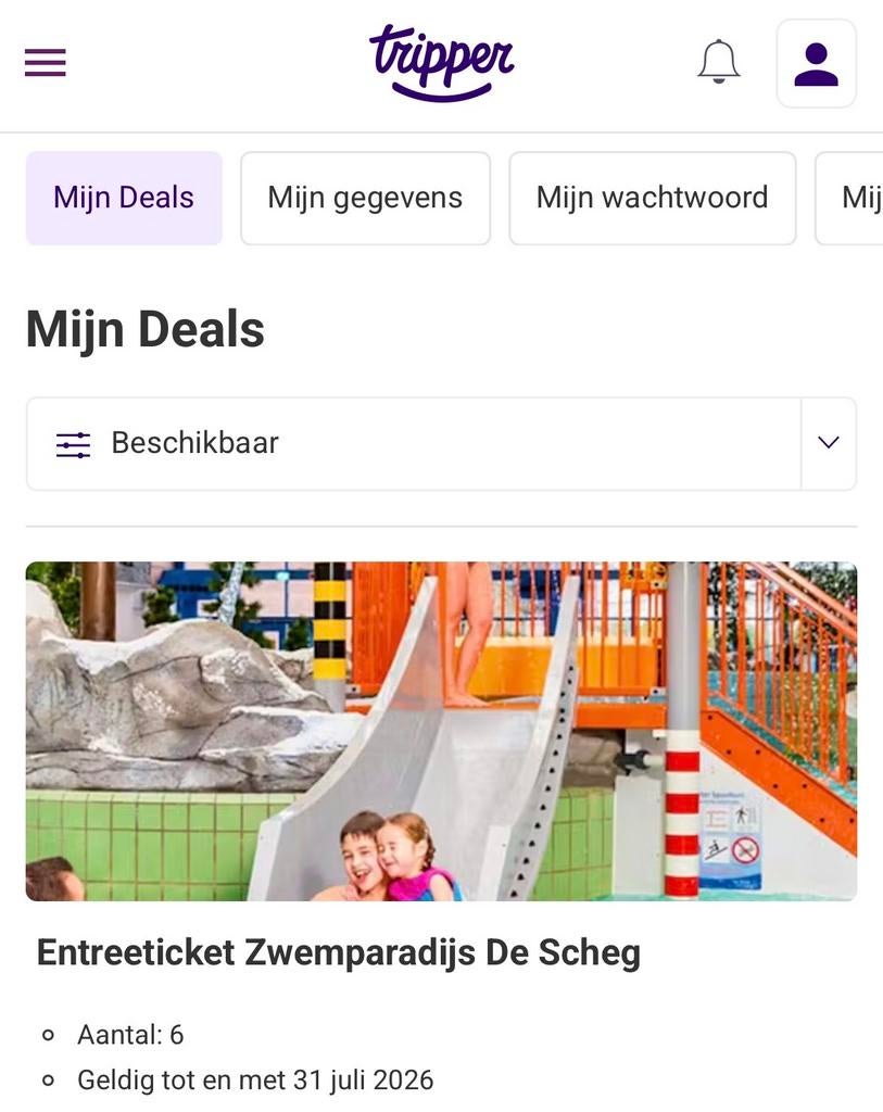 6 zwemtickets voor zwembad de Scheg, Tickets en Kaartjes, Twee personen, Ticket of Toegangskaart