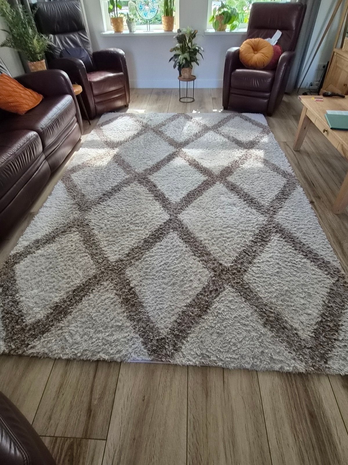 vloerkleed 200x300, Ophalen, Gebruikt, Wit, 200 cm of meer
