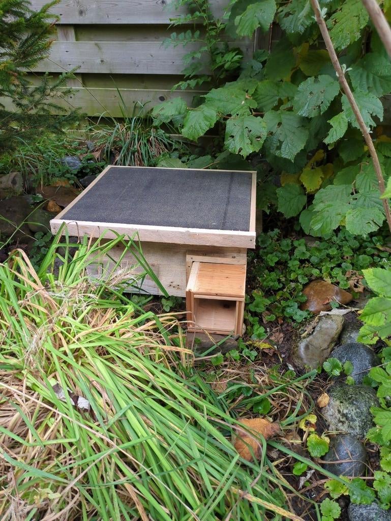 Help de egel aan een egelhuis., Ophalen of Verzenden, Overige typen