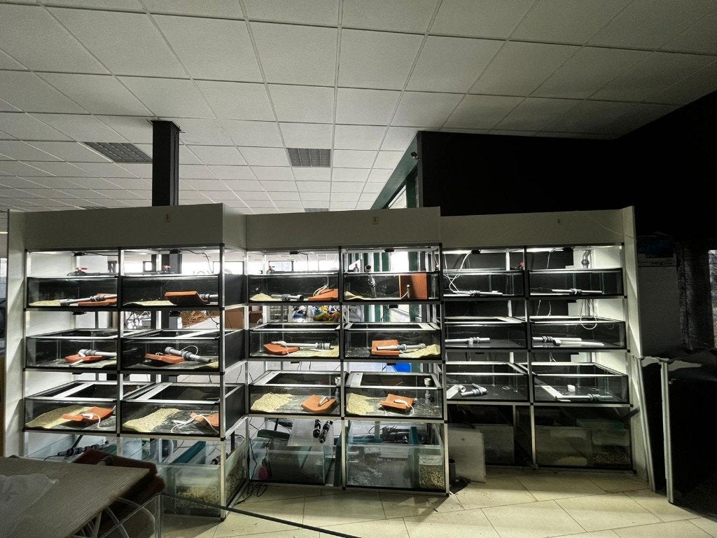 Grote schuine aquariumstelling van Stelling: 3x 170x80x235, Ophalen, Zo goed als nieuw, Leeg aquarium, Overige merken