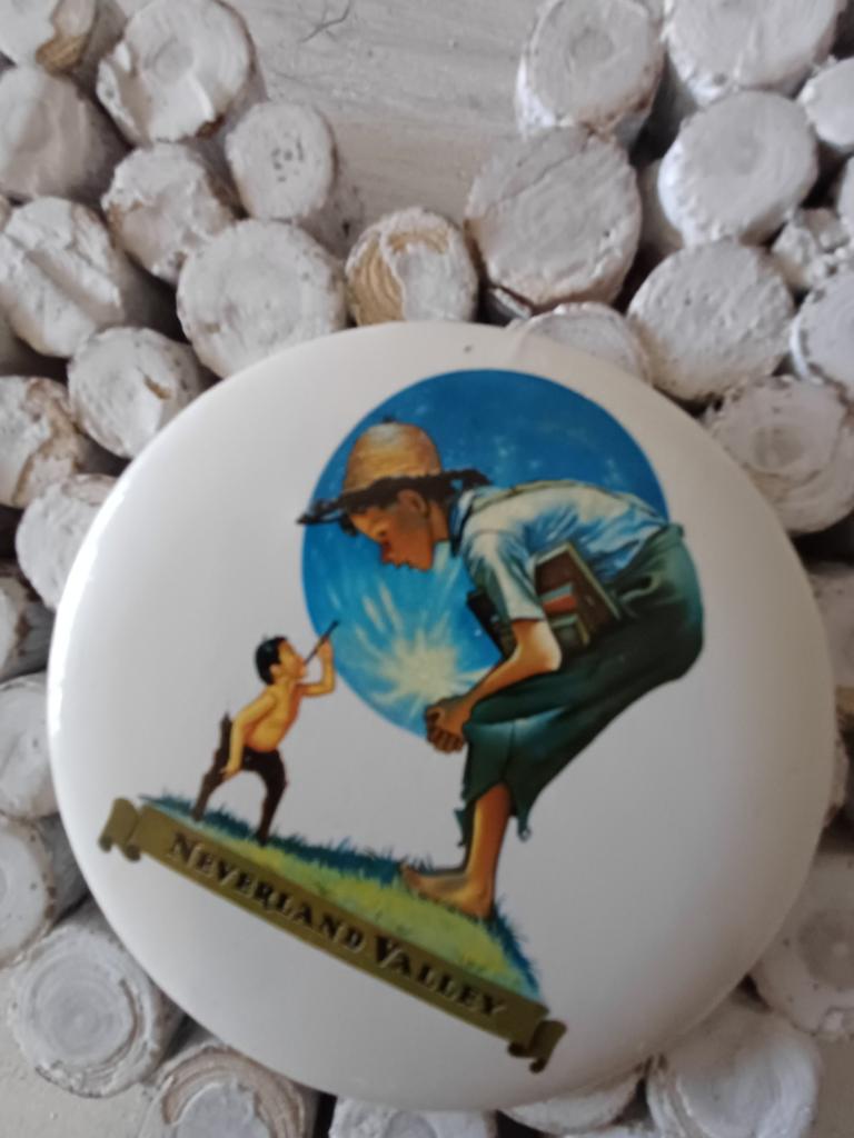 Michael Jackson Neverland pin button collectors item, Ophalen, Zo goed als nieuw