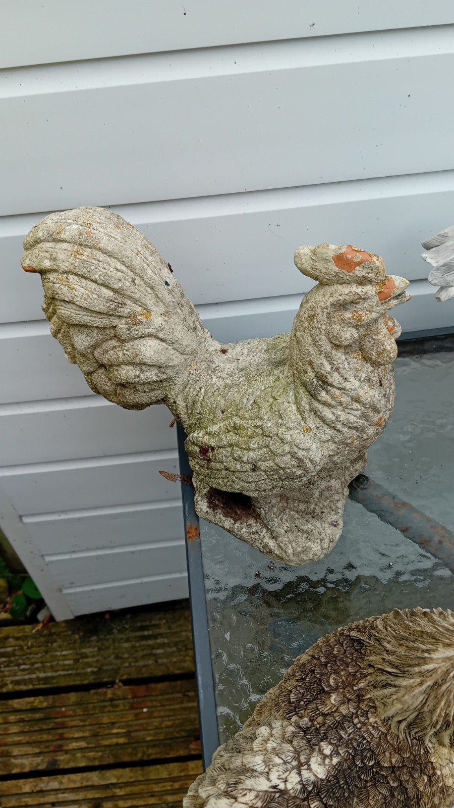 Leuke kippen voor in de tuin, Ophalen, Gebruikt