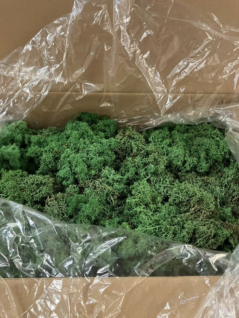 14 dozen ijslands mos green 3 kg, Ophalen, Nieuw