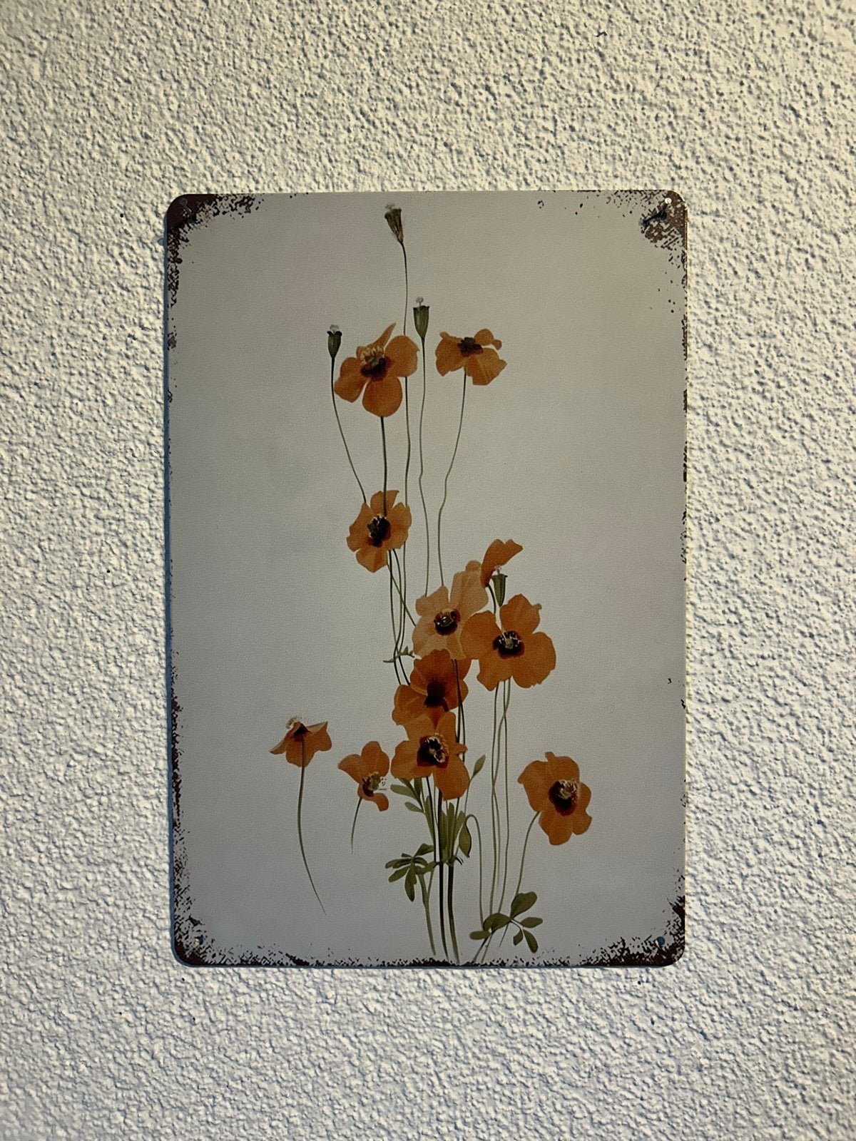 Metalen Wandbord met Oranje Bloemen - 20x30 cm, Metaal, Oranje, Ophalen of Verzenden, Zo goed als nieuw