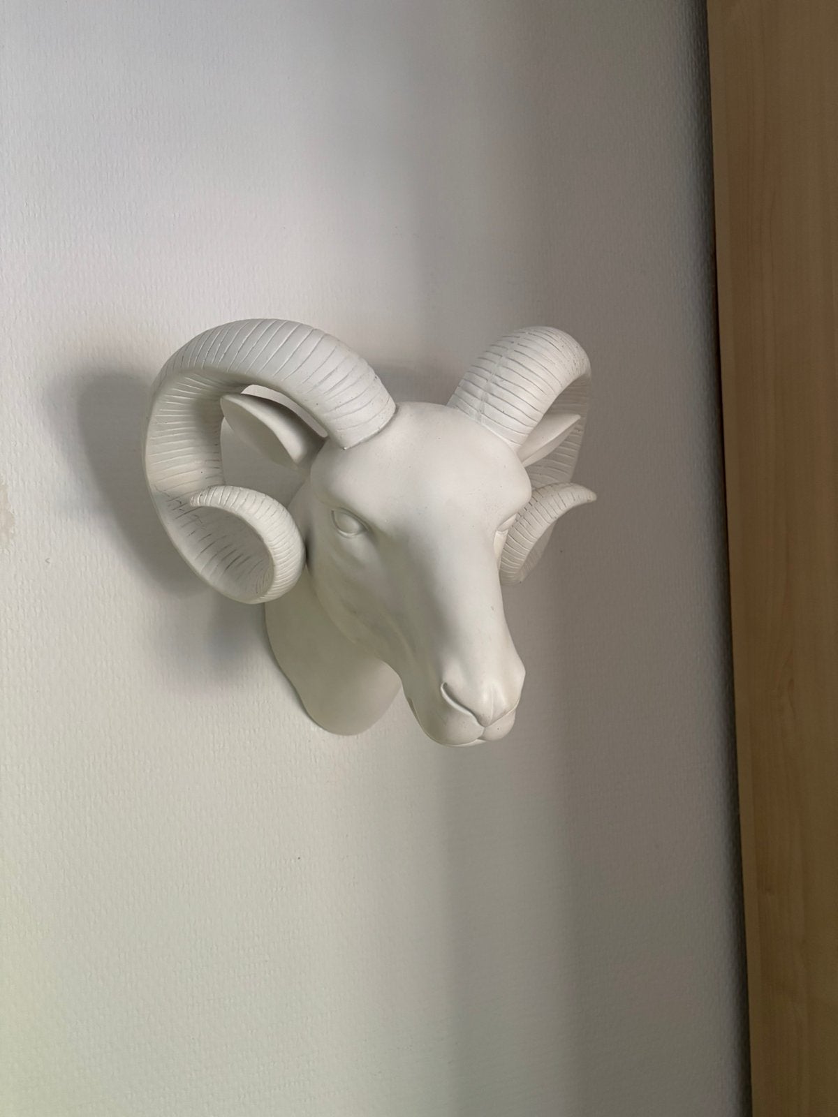 Witte bokke kop van gips, Ophalen, Zo goed als nieuw, Wanddecoratie