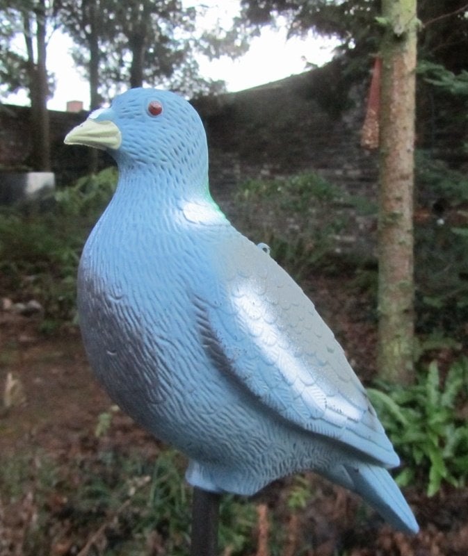 DUIFJE, Ophalen of Verzenden, Nieuw
