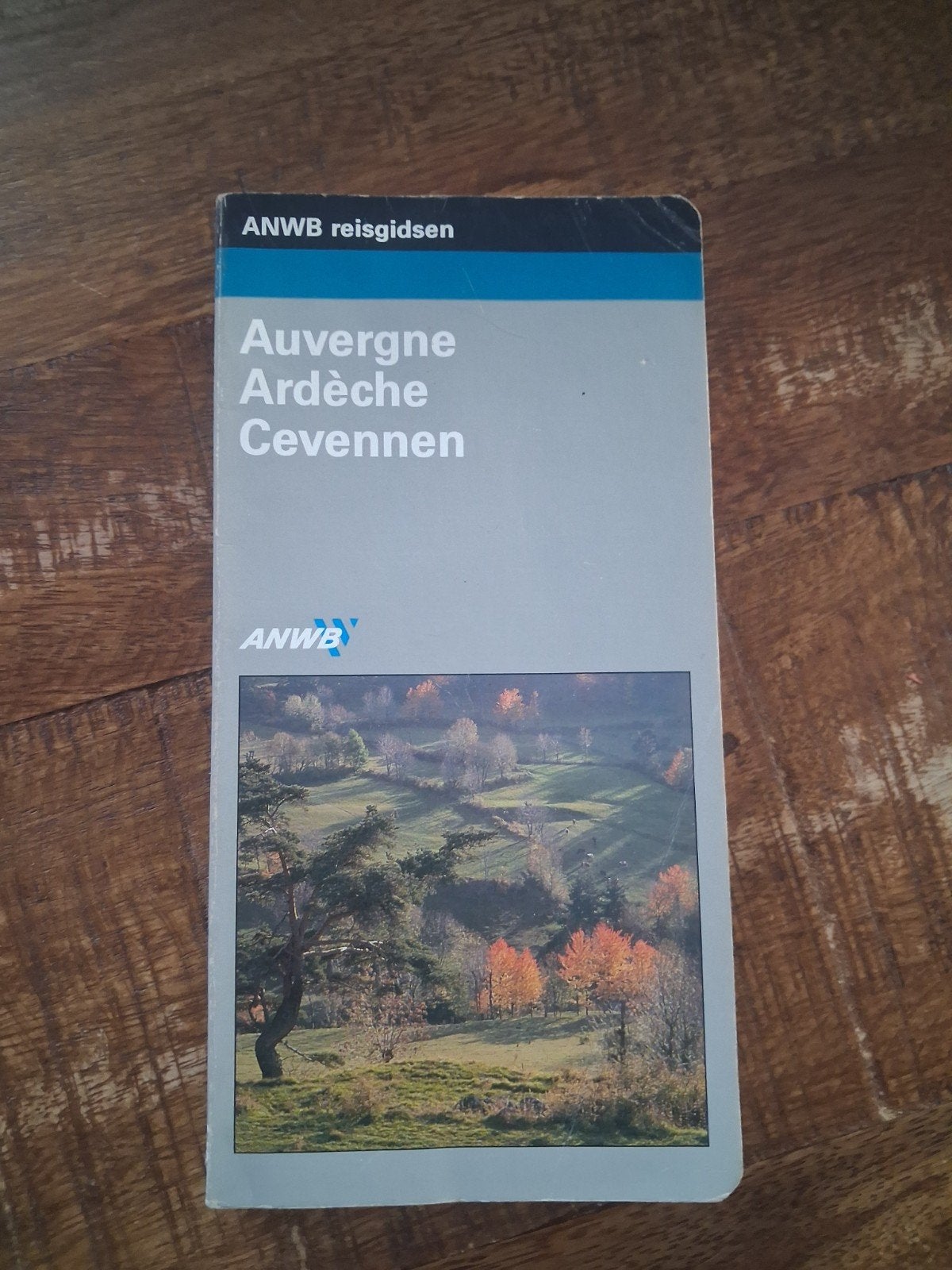 ANWB Reisgids Auvergne Ardèche Cevennen, Boeken, Reisgidsen, Gelezen, Europa, Ophalen of Verzenden, Reisgids of -boek