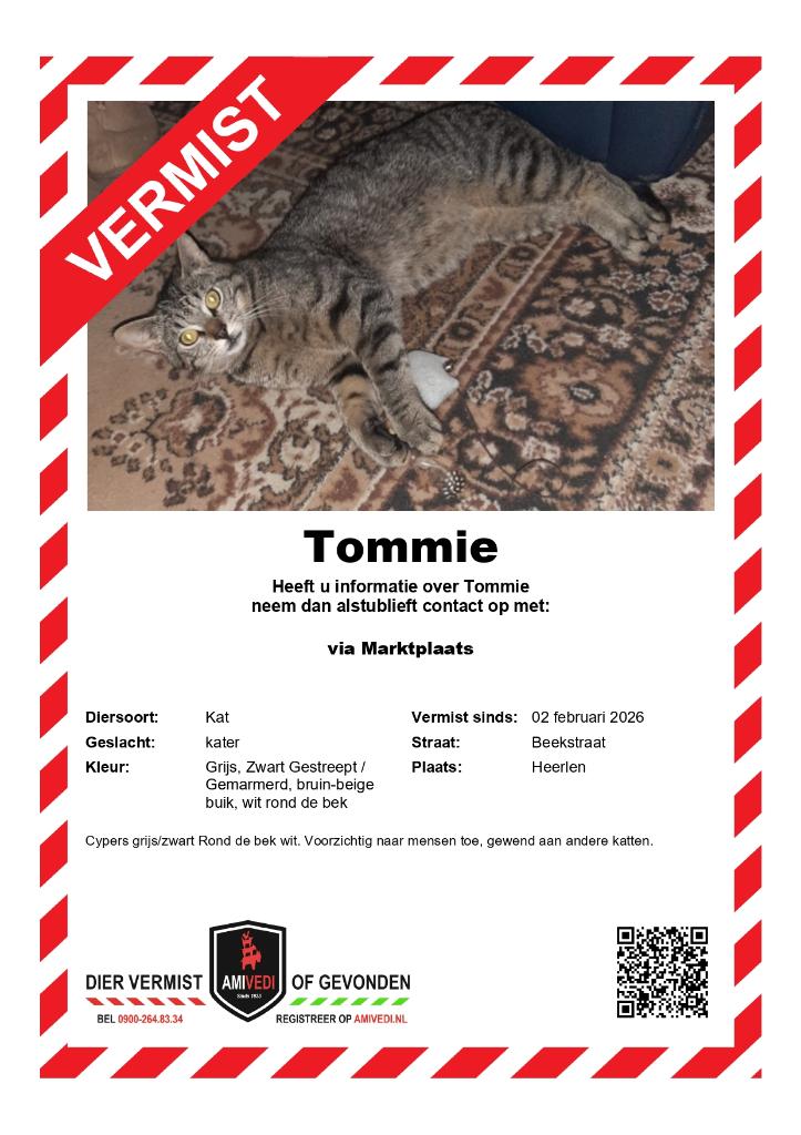 Vermist, Kat