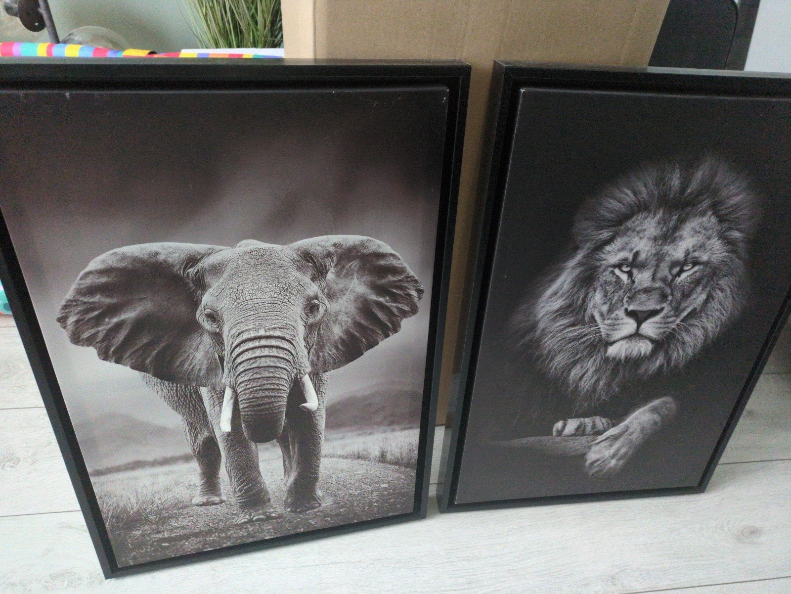 Set van 2 canvas schilderijen: Olifant en Leeuw, Huis en Inrichting, 50 – 75, Ophalen of Verzenden, Zo goed als nieuw, Schilderij