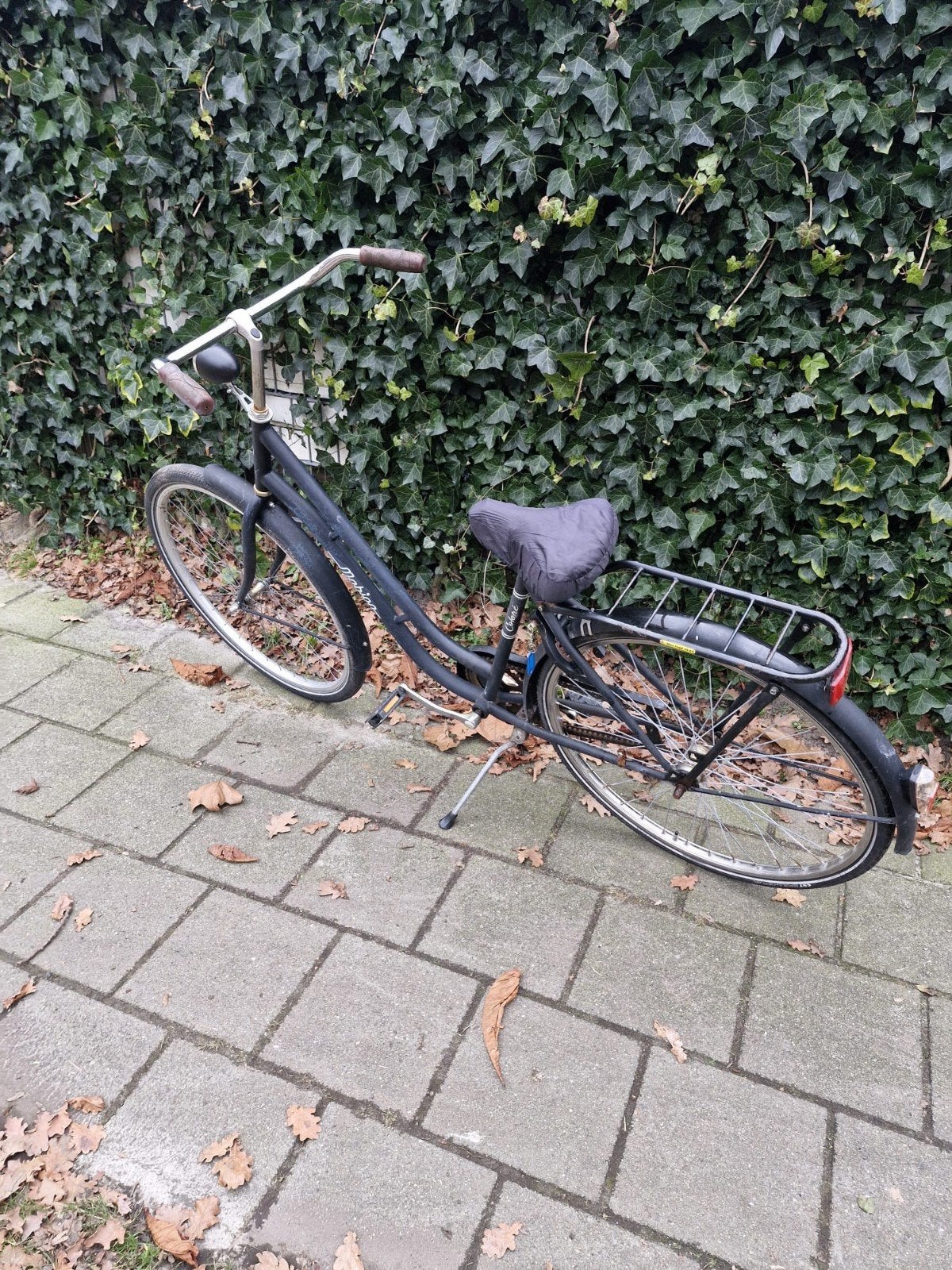 Damesfiets met lage instap en bagagedrager, Velgrem, 50 tot 53 cm, Ophalen, Overige merken