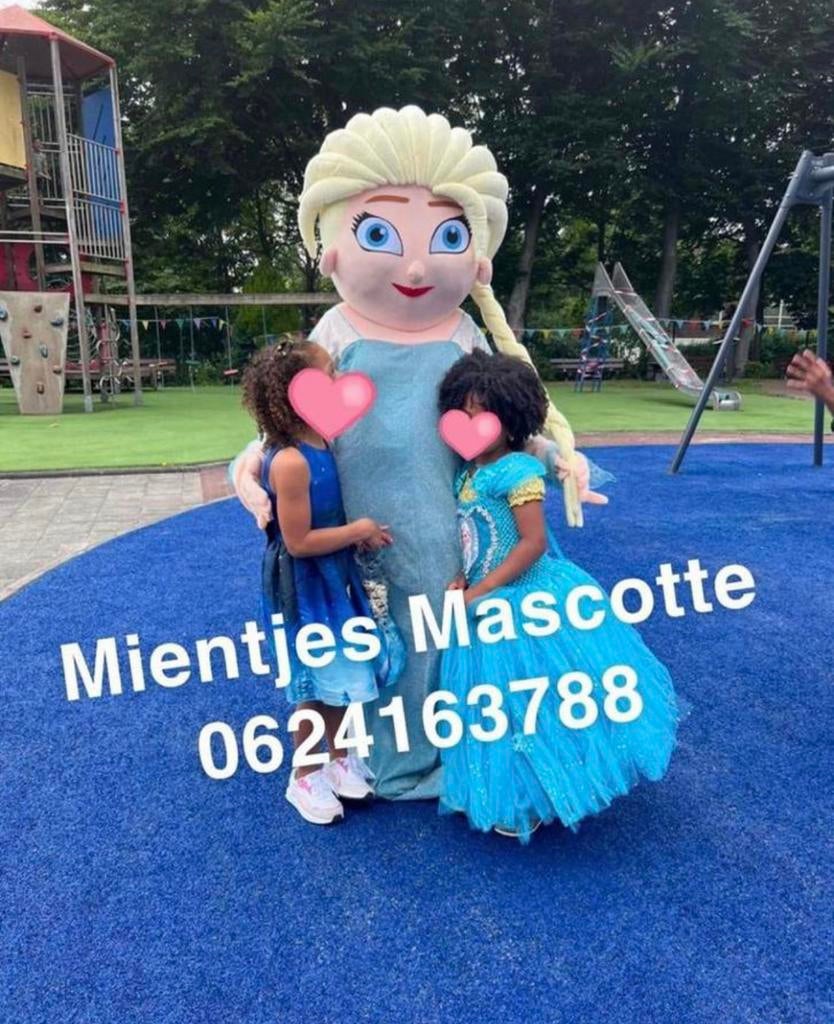Elsa Mascotte te huur, Ophalen of Verzenden, Gebruikt, Kostuum, Verjaardag