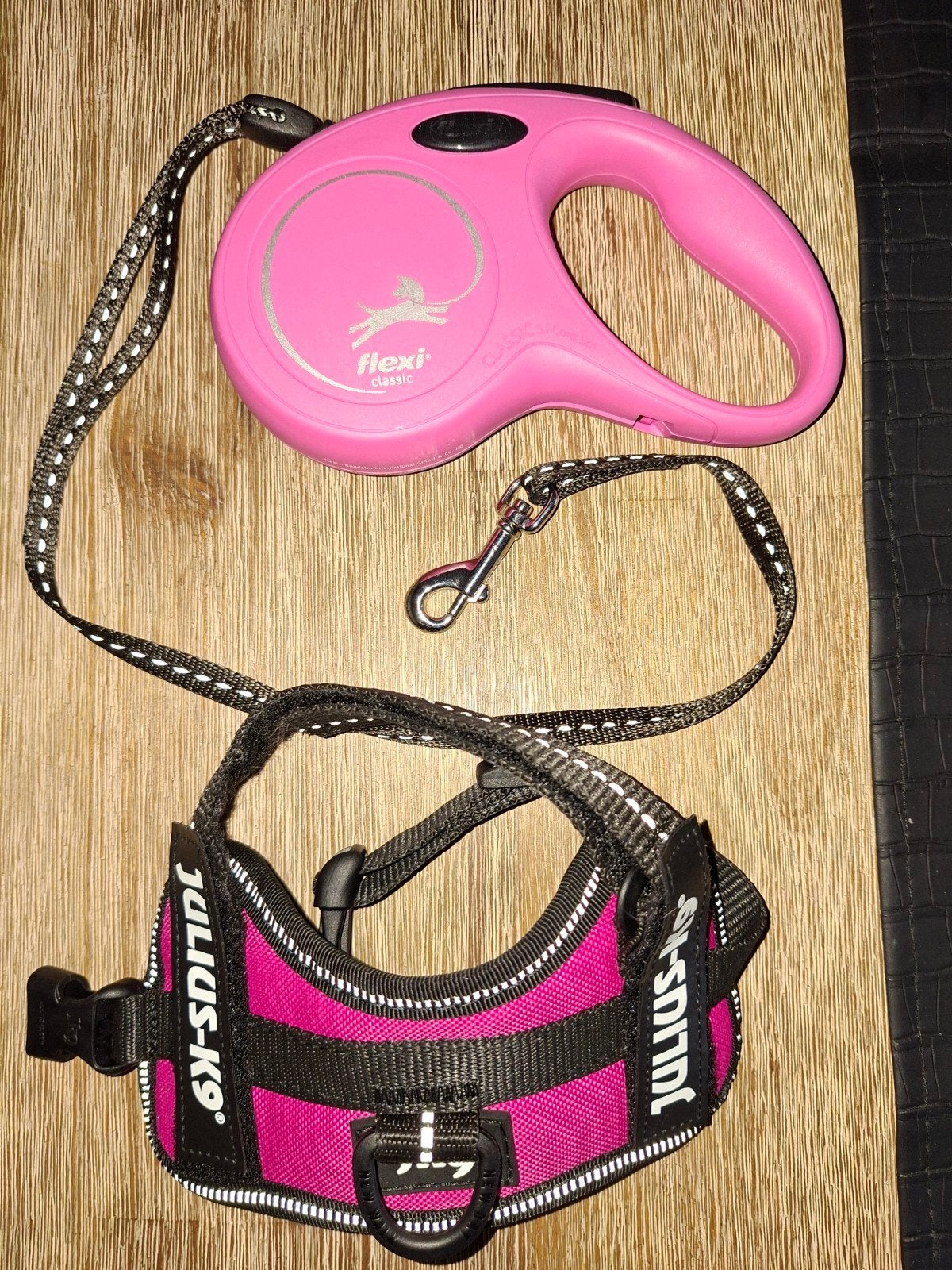 hondentuig Julius-K9 met riem 3meter., Ophalen of Verzenden, Nieuw