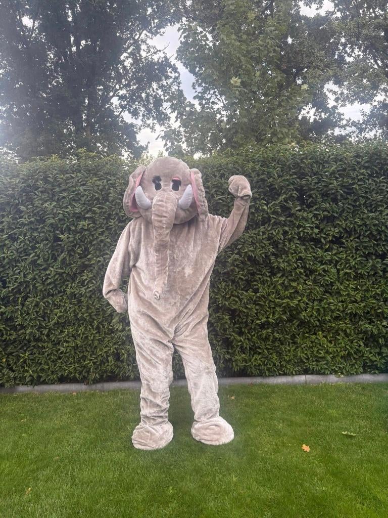 Te Huur: Olifant-kostuum, Mascotte, Dieren, Carnaval, Ophalen of Verzenden, Zo goed als nieuw, Verjaardag