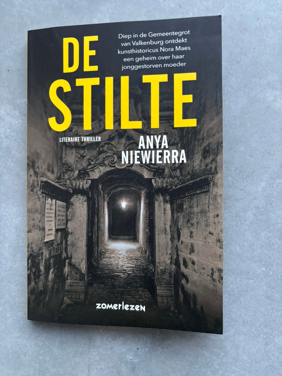 Boek: De Stilte - Anya Niewierra, Boeken, Ophalen of Verzenden, Zo goed als nieuw