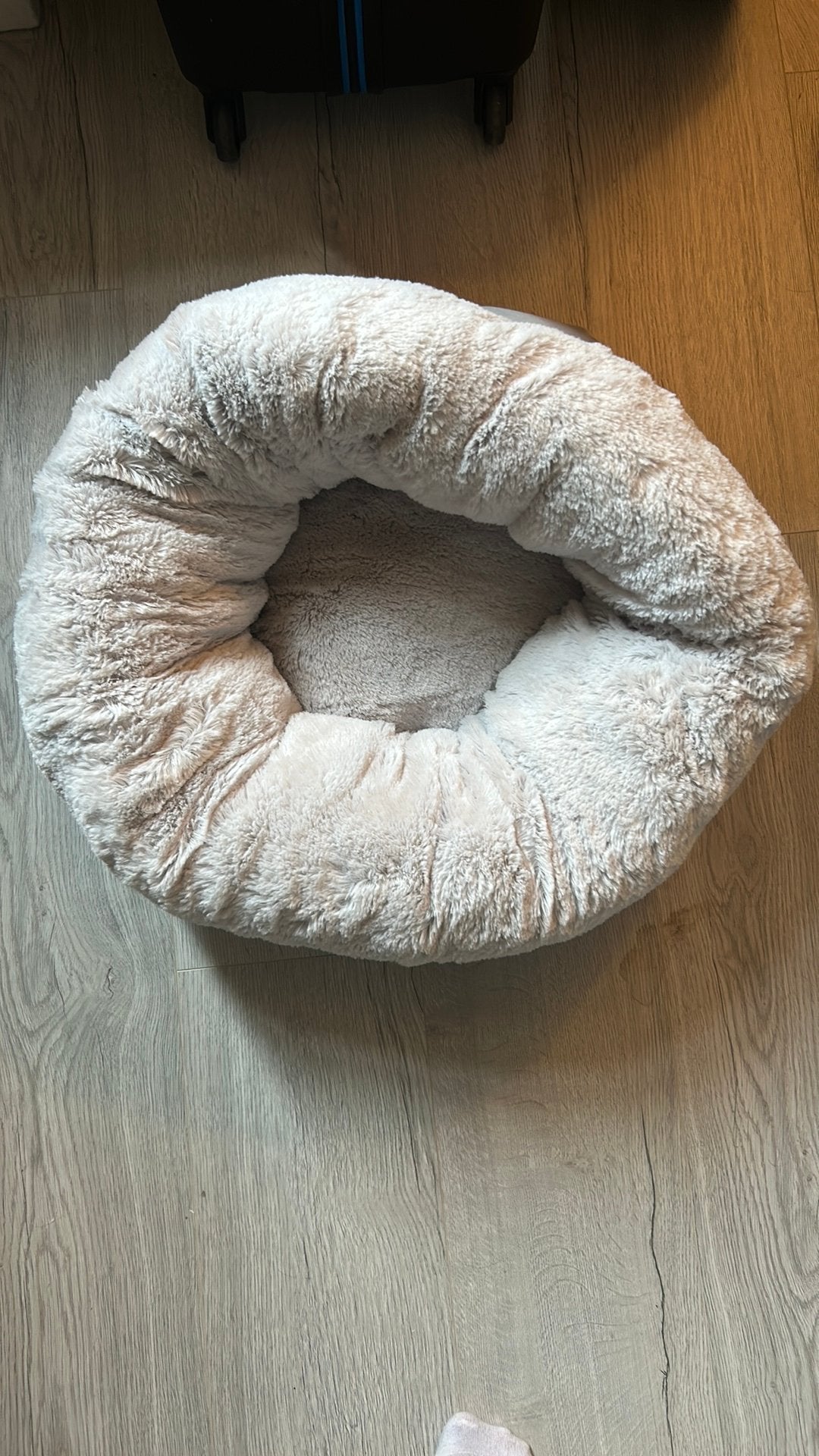 Huisdierenmand/kattenmand, Ophalen, Zo goed als nieuw