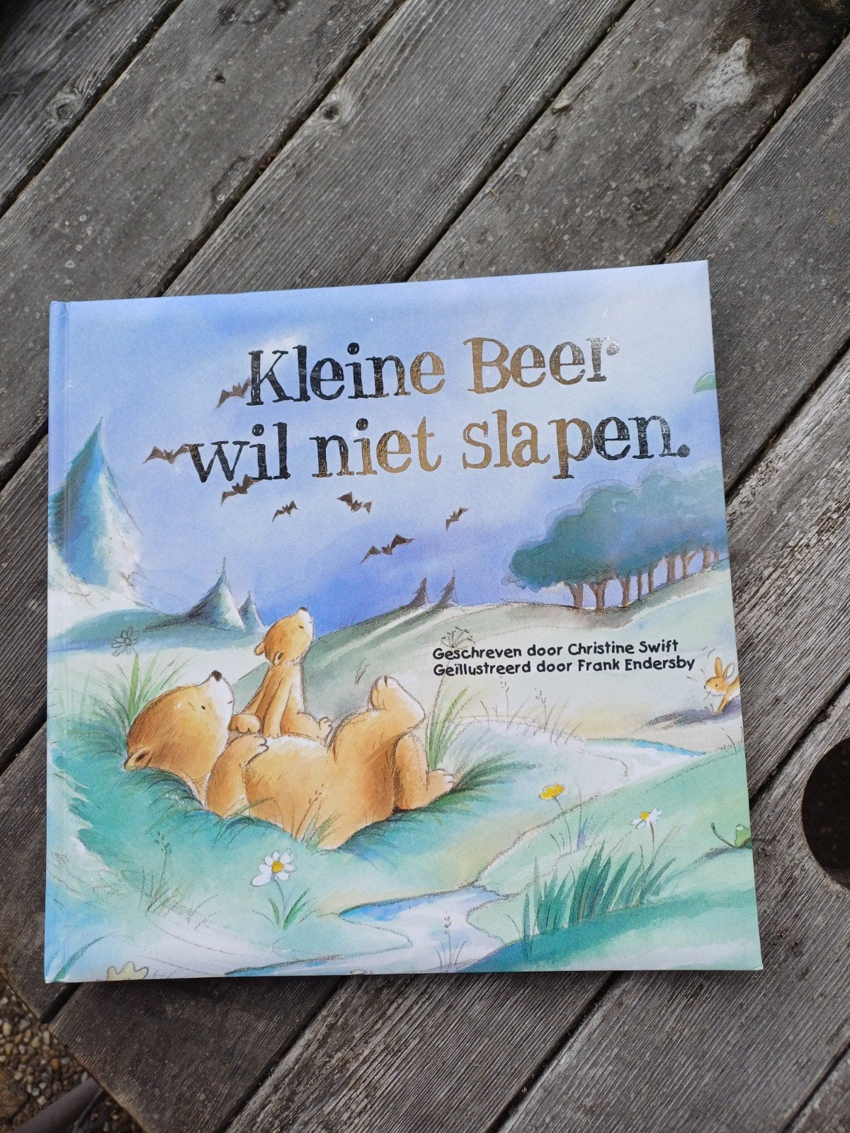 Kinderboek: Kleine Beer wil niet slapen, Ophalen of Verzenden