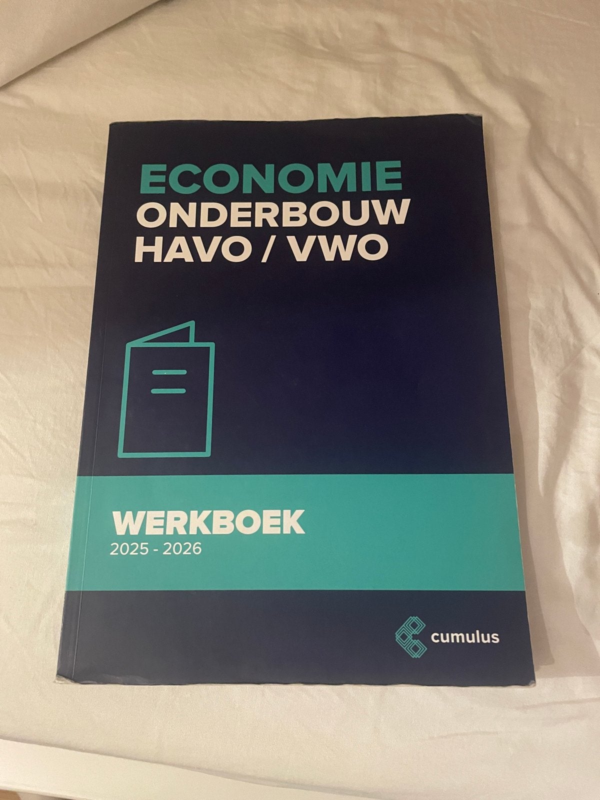 Economie Onderbouw HAVO/VWO Werkboek 2025-2026, Boeken, Ophalen of Verzenden, Zo goed als nieuw, VWO, Economie