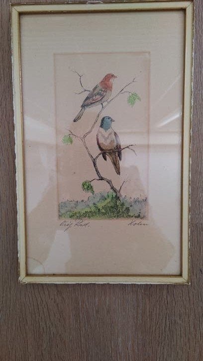 Kleurrijke ingelijsye ets van twee kleurrijke vogels, Antiek en Kunst, Kunst | Etsen en Gravures, Ophalen of Verzenden, Flora en Fauna