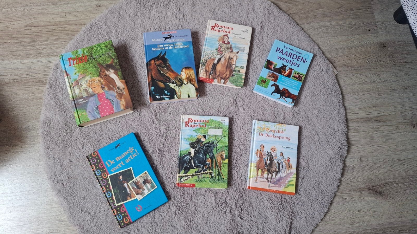 Paardenboeken collectie - Romana Ragebol, Ponyclub, etc., Ophalen of Verzenden, Gelezen, Diverse auteurs, Fictie algemeen