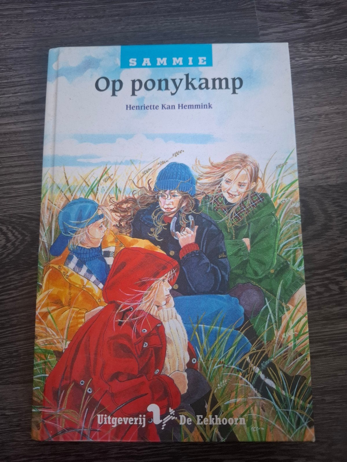 Op ponykamp - Henriëtte Kan Hemmink (Gelezen), Ophalen of Verzenden, Gelezen, Henriëtte Kan Hemmink, Fictie