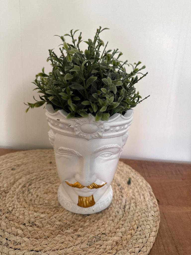 Decoratieve bloempot in gezichtsvorm met groen plantje., Tuin en Terras, Bloempotten, Gebruikt, Rond, Ophalen of Verzenden, Aardewerk