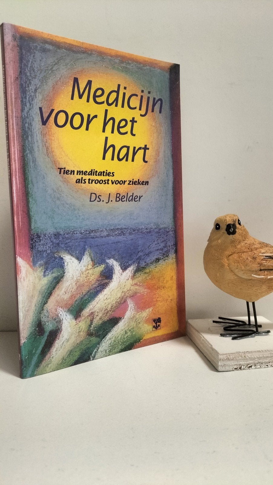 Belder, Ds. J.; Medicijn voor het hart, Ophalen of Verzenden, Gelezen, Christendom | Protestants