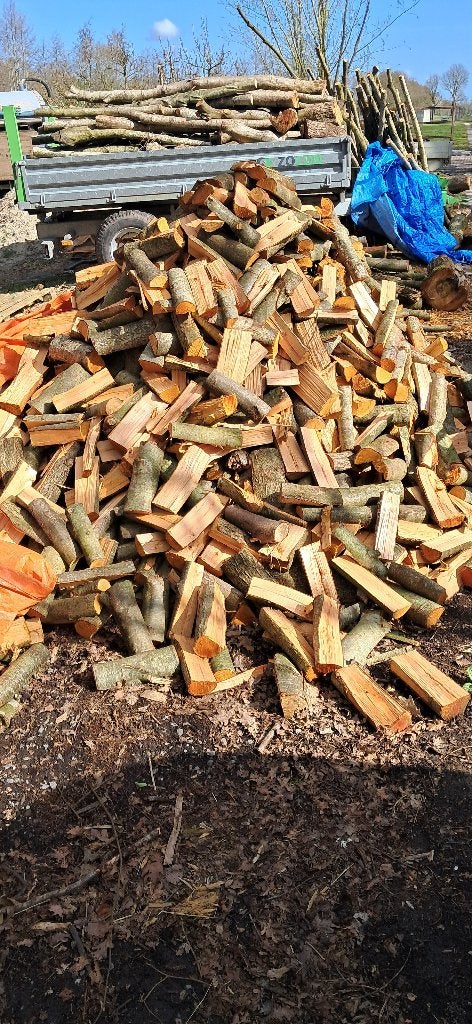 Haard hout, Tuin en Terras, Haardhout, Minder dan 3 m³, Ophalen of Verzenden, Elzenhout, Blokken