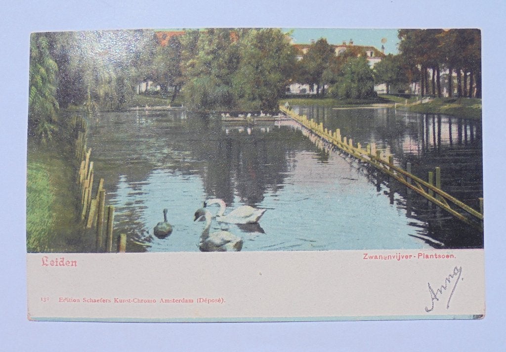 LEIDEN, zwanenvijver 1907 treinstempel en kleinrondstempel., Verzamelen, Ophalen of Verzenden, Voor 1920, Gelopen, Zuid-Holland