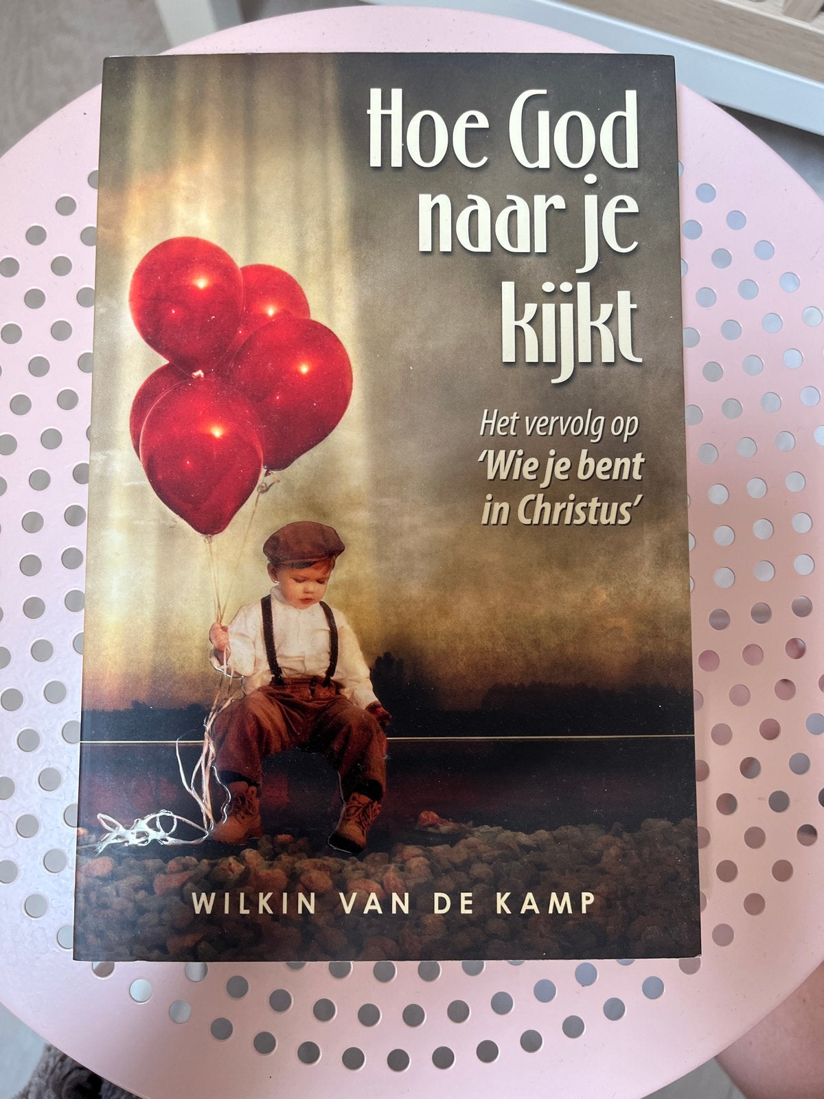 Hoe God naar je kijkt - Wilkin van de Kamp zgan, Ophalen of Verzenden, Zo goed als nieuw, Christendom | Protestants