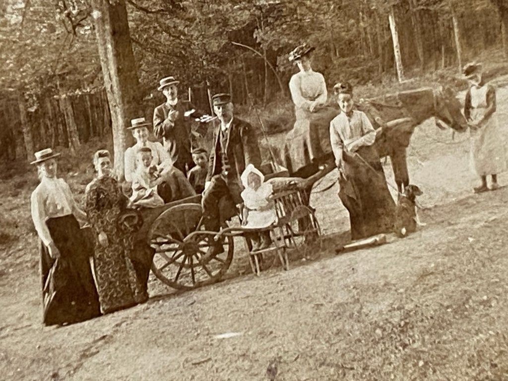 Foto vakantie in Driebergen anno 1885 , Gebruikt, Foto, Ophalen of Verzenden, Voor 1940