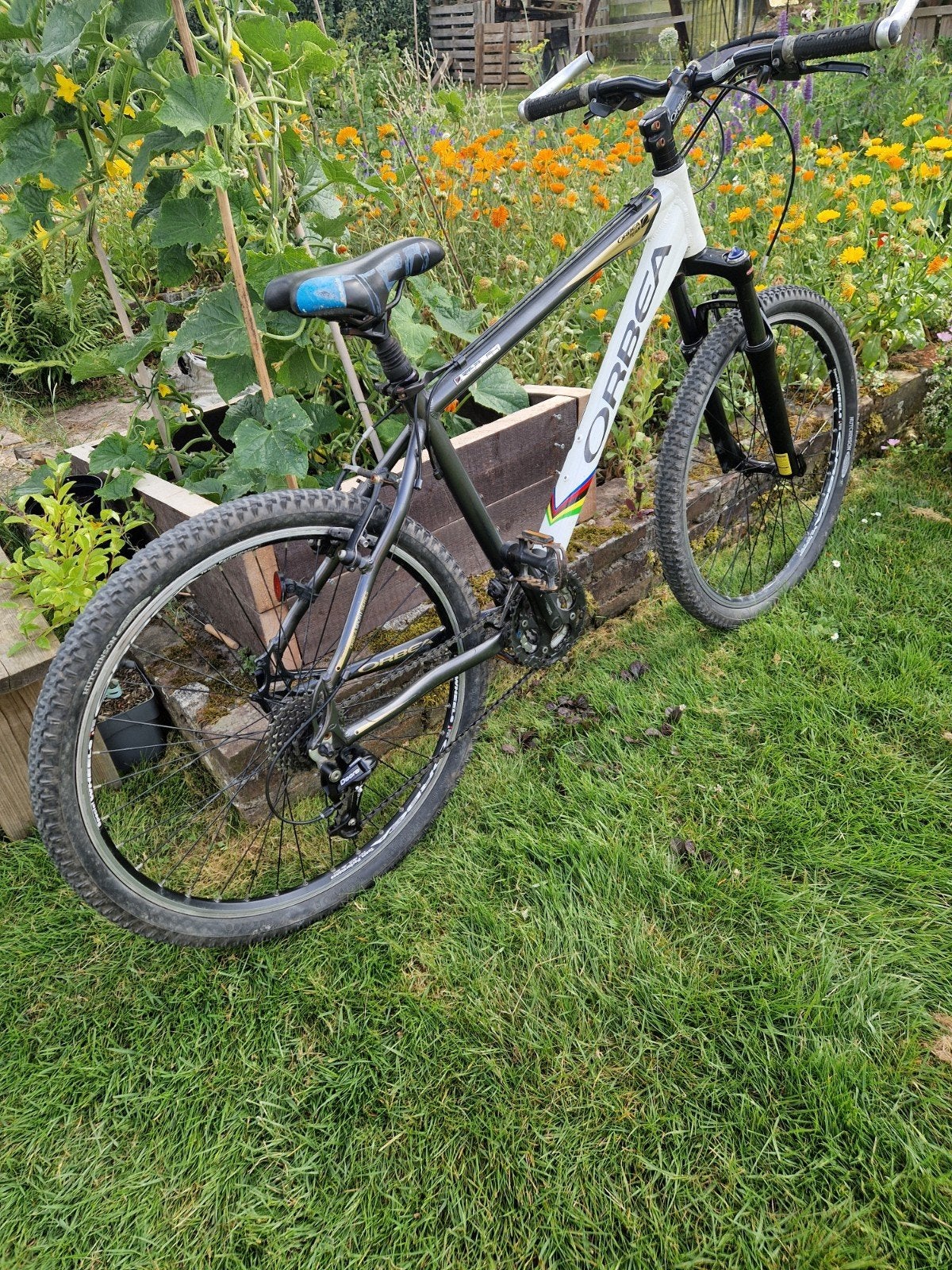 Fiets Orbea Mountainbike - Shimano Deore 26 inch, Gebruikt, Hardtail, Velgrem, 45 tot 49 cm
