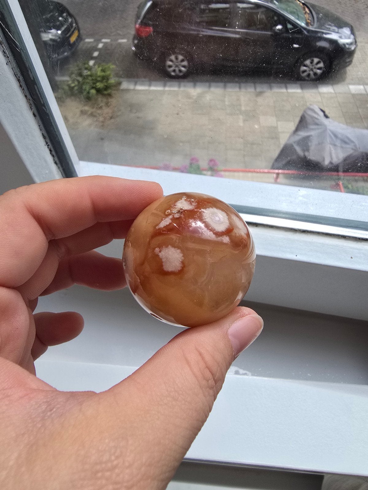 bloemagaat bol, Ophalen of Verzenden