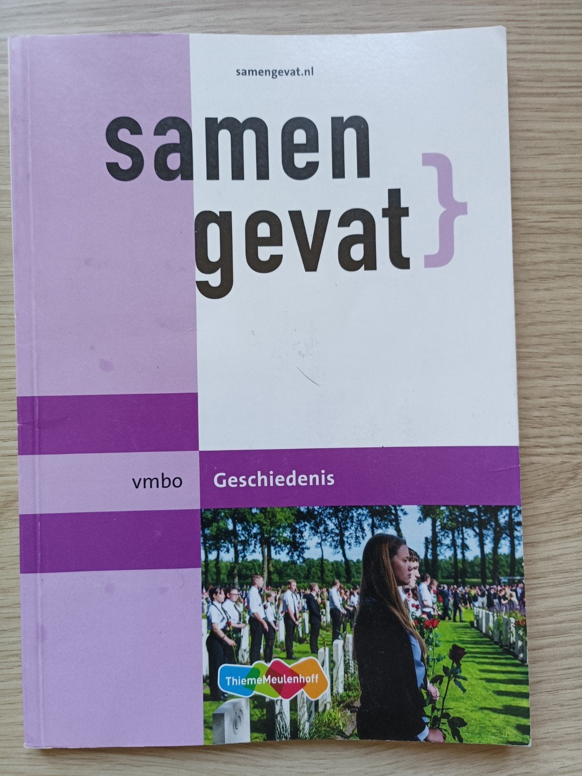 Samengevat vmbo Geschiedenis - Thiememeulenhoff, Boeken, Schoolboeken, Thiememeulenhoff, Geschiedenis, Ophalen of Verzenden, Gelezen