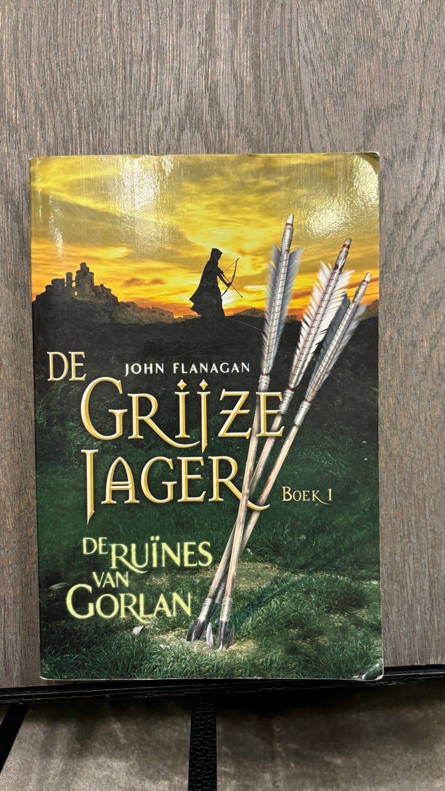 De Grijze Jager Boek 1: De Ruïnes van Gorlan, Boeken, Ophalen of Verzenden, Gelezen