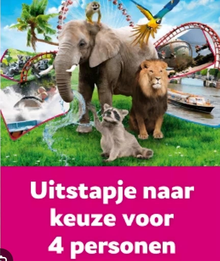 Uitstapje naar keuze vriendenloterij, Tickets en Kaartjes, Drie personen of meer