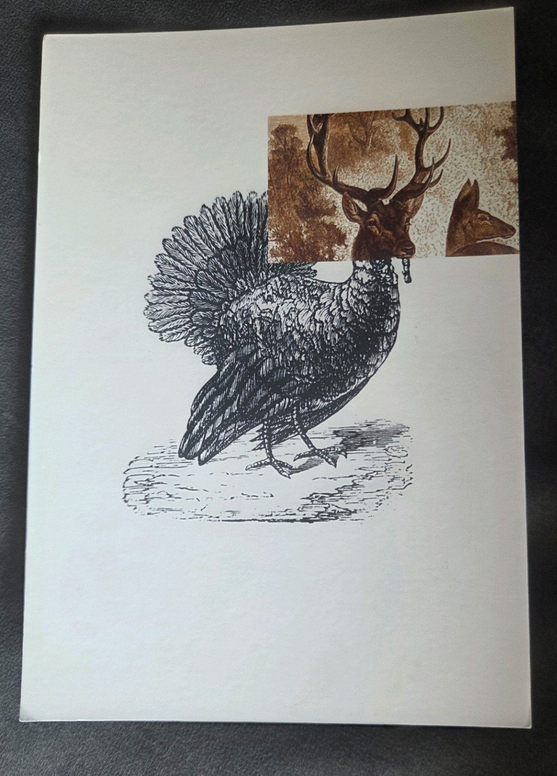 Ansichtkaart met vogel en hert, Verzenden, 1980 tot heden, Gelopen, Overige thema's