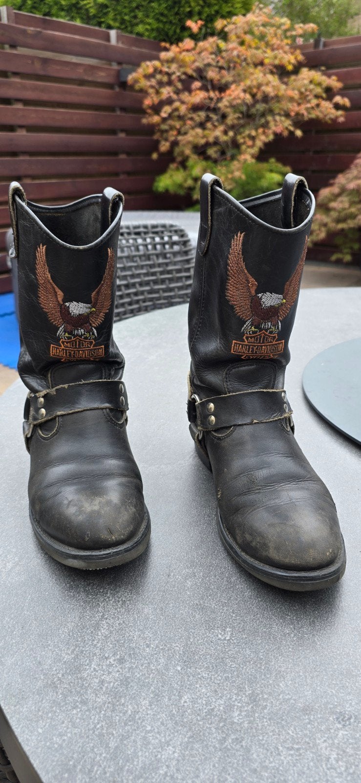 Harley Davidson laarzen maat 41/42, Ophalen of Verzenden, Tweedehands, Laarzen