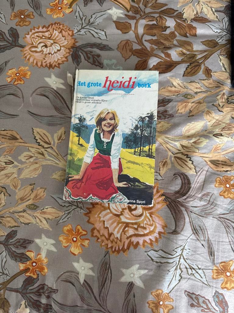 Het Grote Heidi Boek - Johanna Spyri (Vintage), Boeken, Ophalen of Verzenden, Gelezen