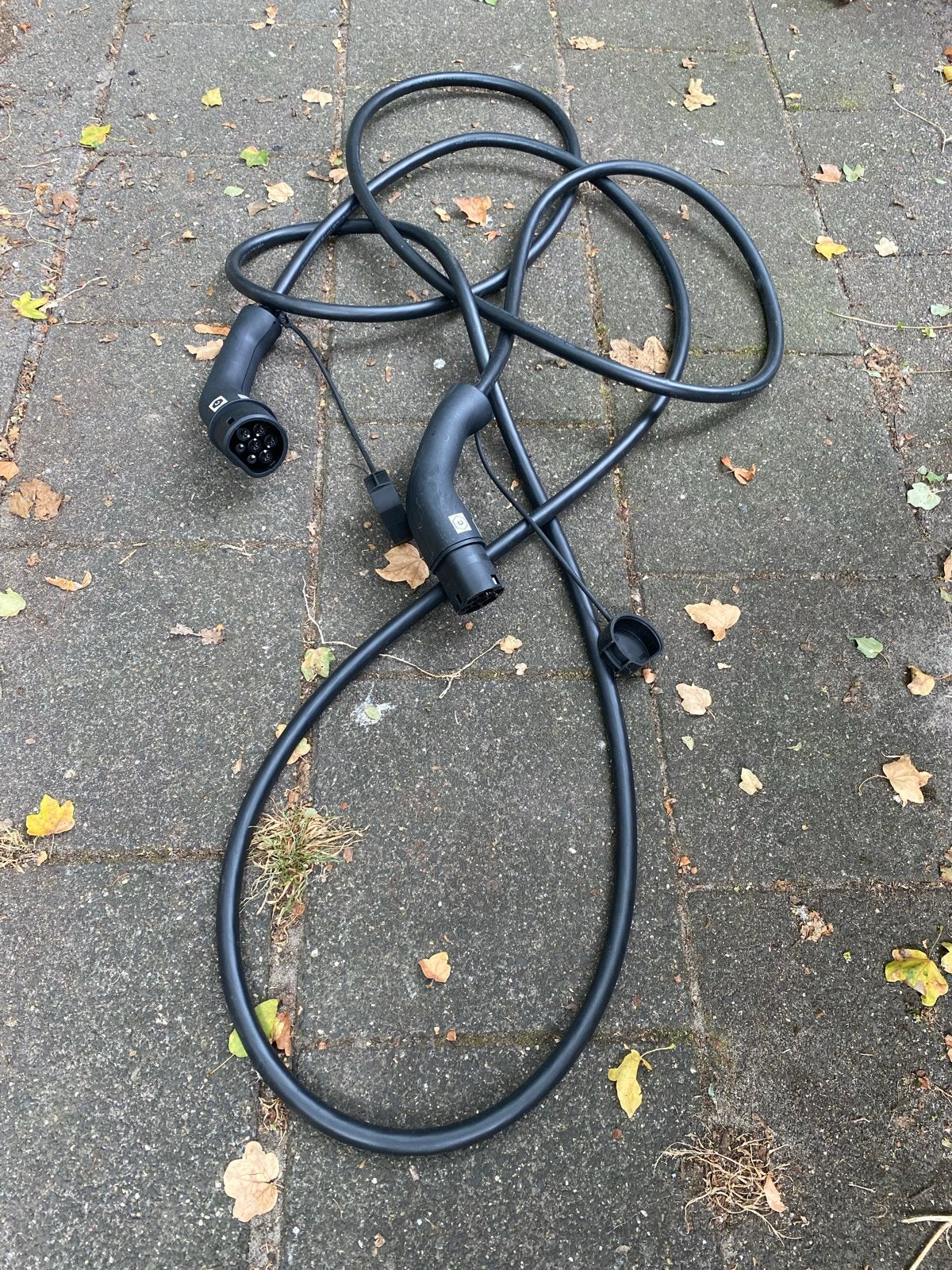 Laadkabel Renault, Ophalen of Verzenden, Nieuw, Renault