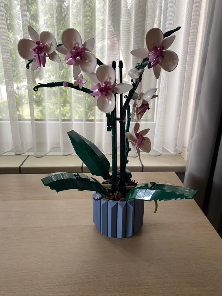 Lego Orchidee 10311 - Botanische Collectie, Ophalen, Zo goed als nieuw, Overige merken